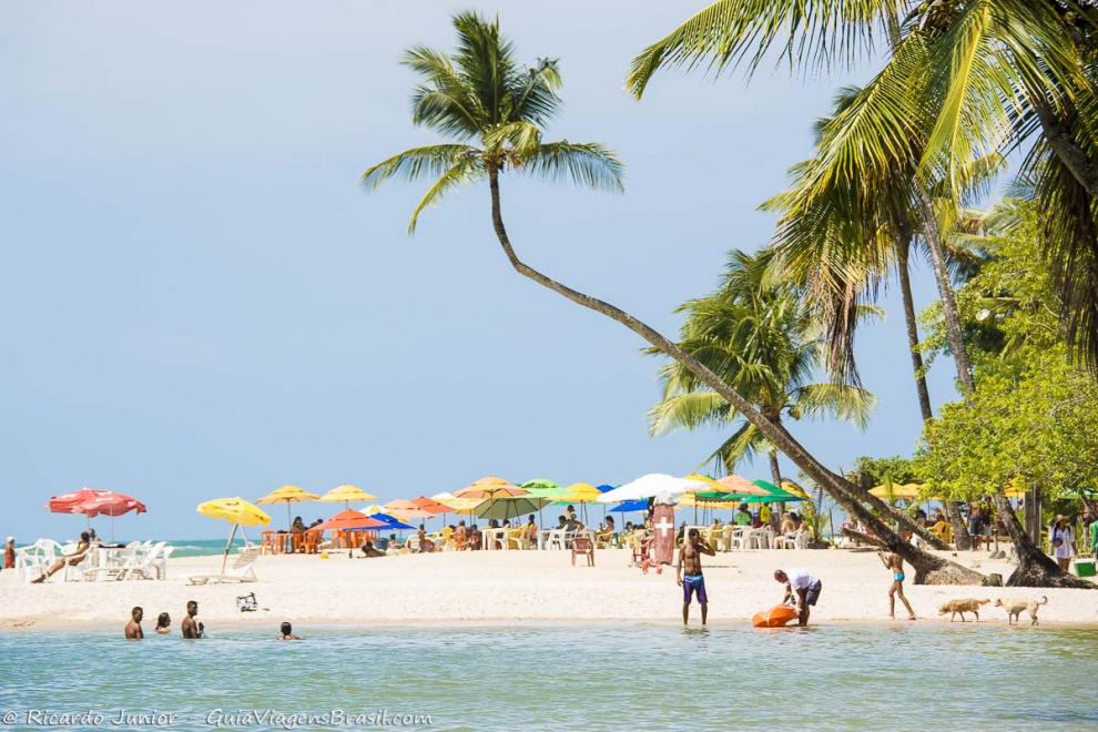 Imagem de turistas no mar e guarda sol nas areias da bela praia.